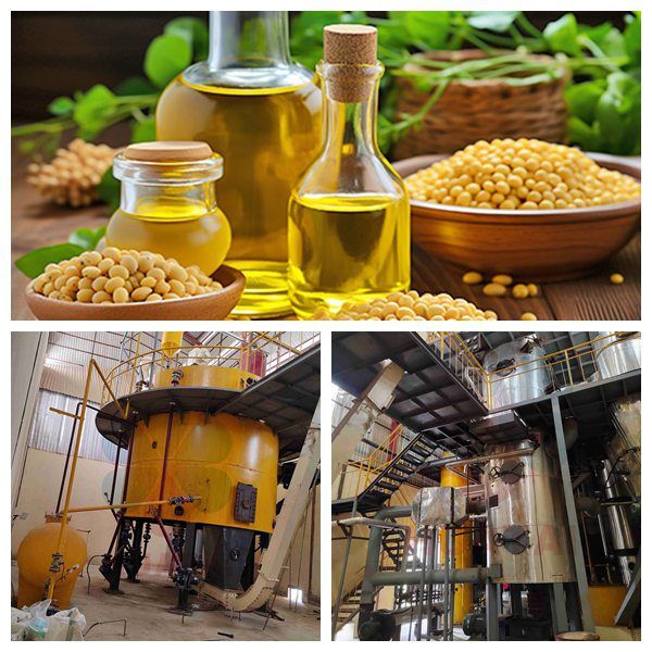 🛢️Wood Pressed Oil Extraction Process Explained
