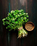 Coriander(కొత్తిమీర)