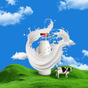 Fresh Buffalo Milk(తాజా గేదె పాలు)