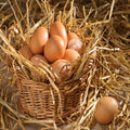 Country Eggs(నాటు గుడ్లు)