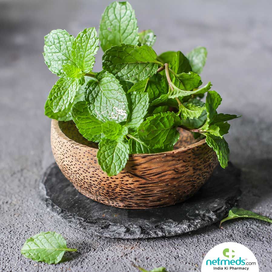 Mint Leaves(పుదీనా )